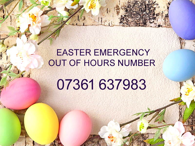 Easter Opening Hours